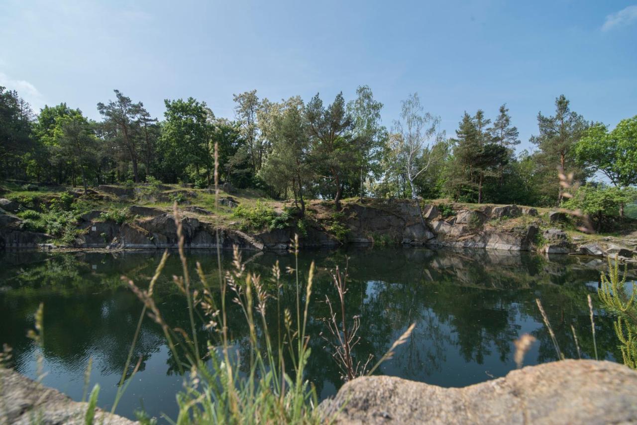 Wellness Bungalov - Vodni Nadrz Slapy - 40Km Od Prahy Necin Kültér fotó